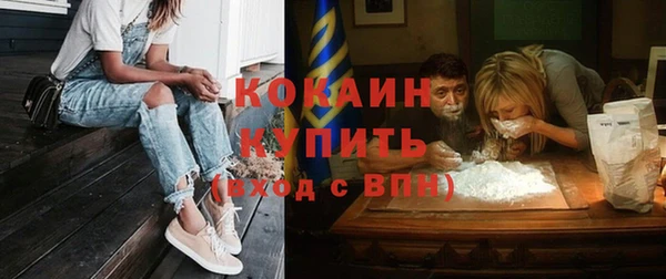 крисы Богородицк