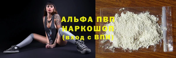 крисы Богородицк