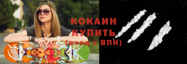 крисы Богородицк