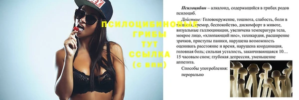 крисы Богородицк