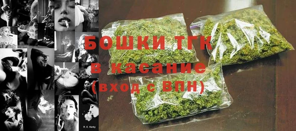 крисы Богородицк
