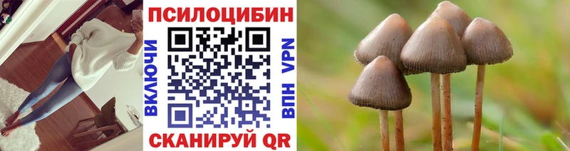 Купить где  Лаишево  Галлюциногенные грибы мухоморы 