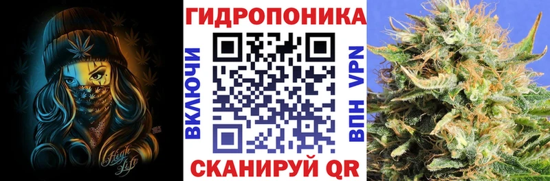 Конопля Bruce Banner  Купить закладки  Лаишево 